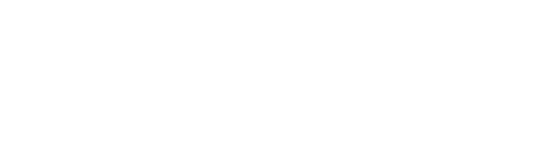 Dixie Home logo