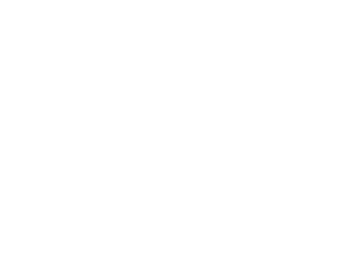 NFA logo
